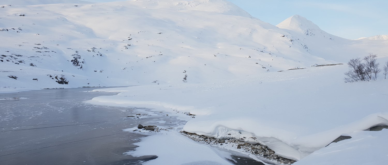 HB Via017490_web.jpg