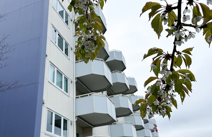 Borettslag med fleksibilitet